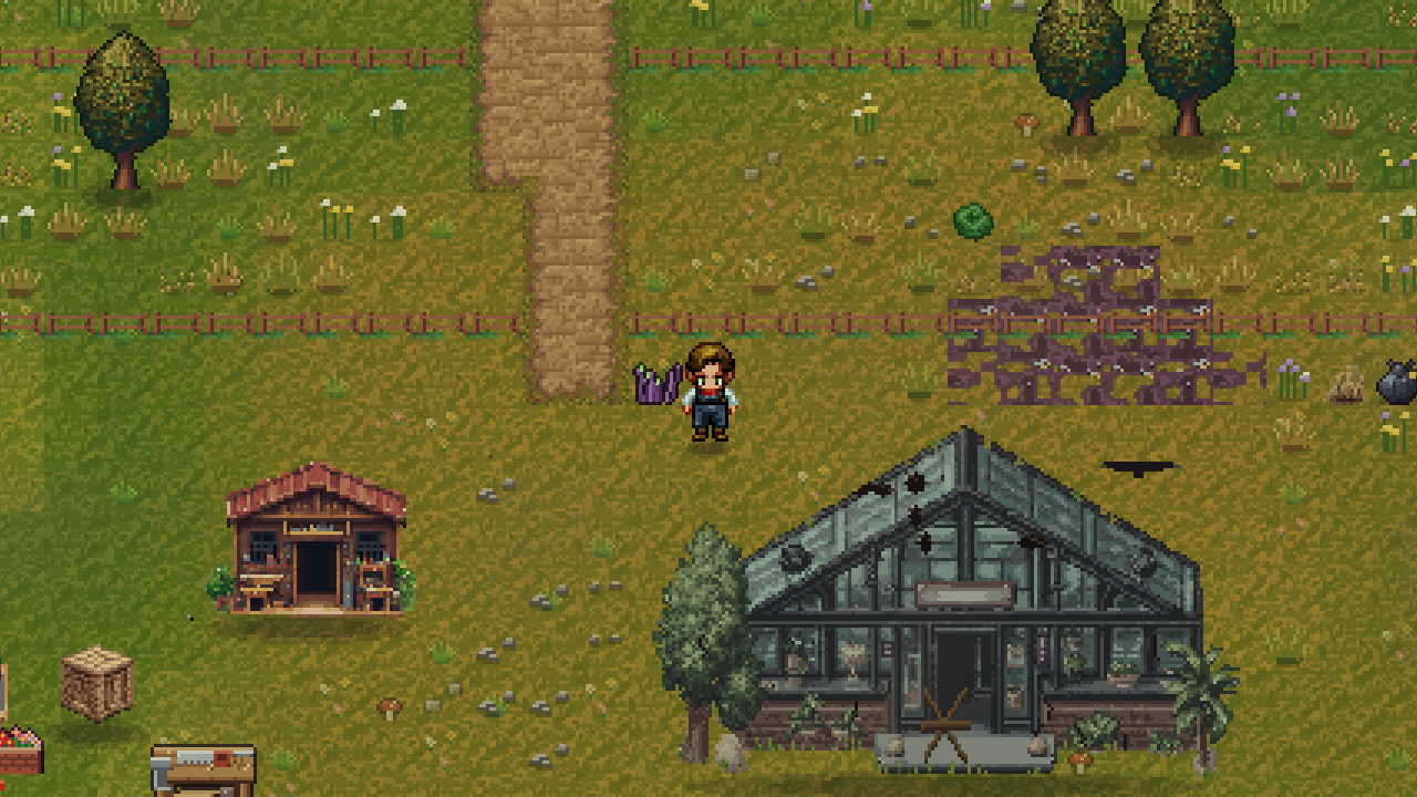 Poisoned land and a ruined greenhouse still to be cleaned